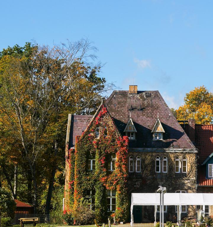 Café Gut Wienebüttel