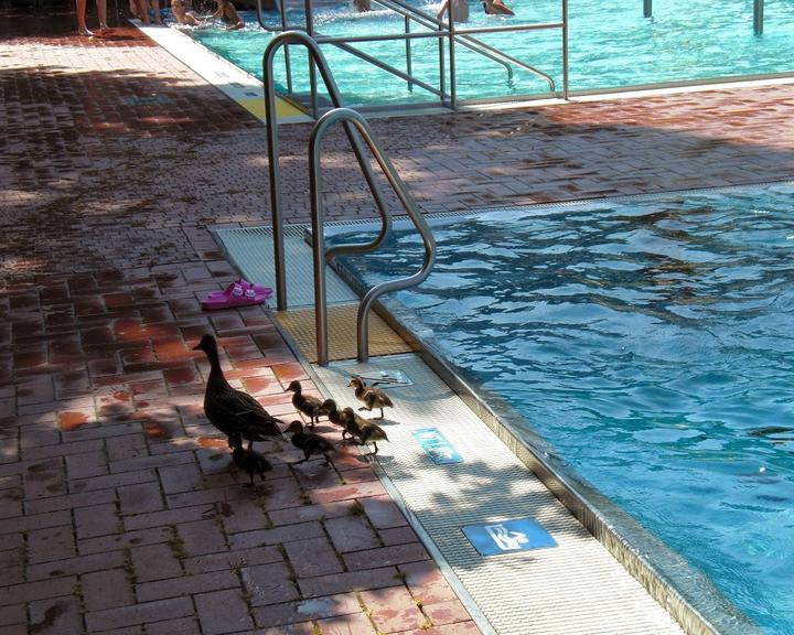 Freibad Lauf Kiosk